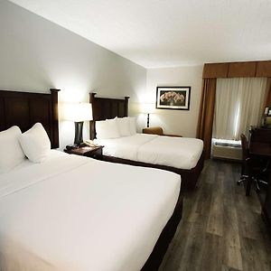 Queen Room Two Queen Beds Roll Shower Disability Access
